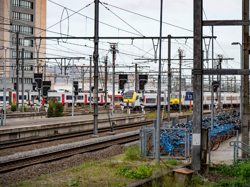 spoor